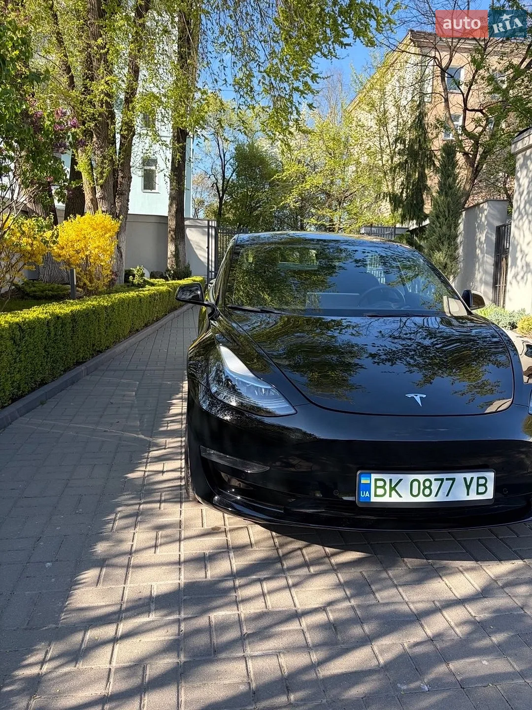 2022 Tesla Model 3 - мініатюра 8