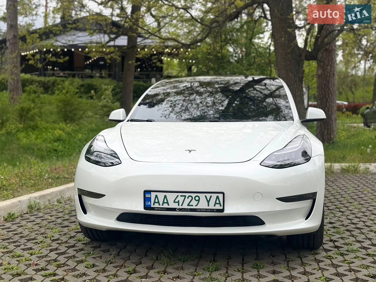 2019 Tesla Model 3 - мініатюра 32