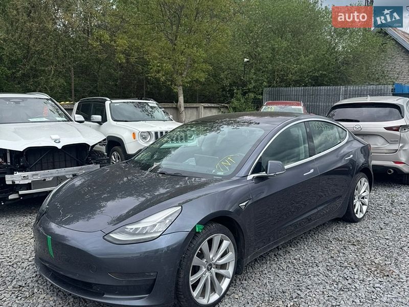 2019 Tesla Model-3, VIN 5YJ3E1EA0KF321627:plate — фото 1 (autoria)