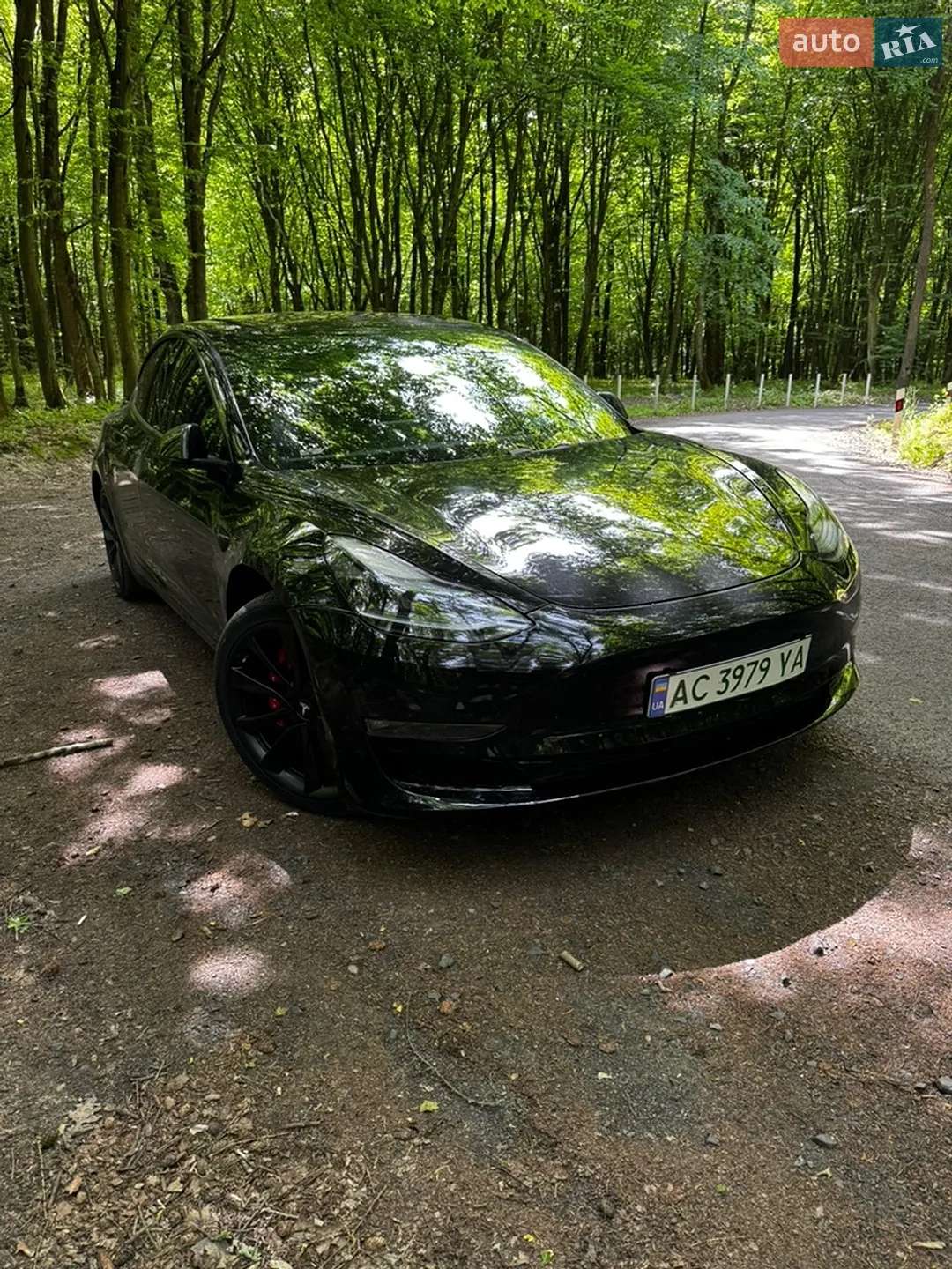 2018 Tesla Model 3 - мініатюра 3
