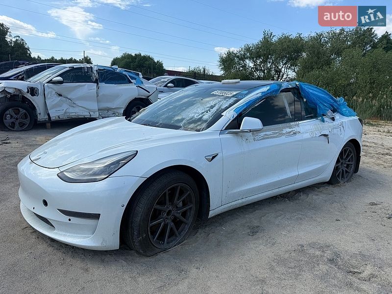Tesla Model 3 2019