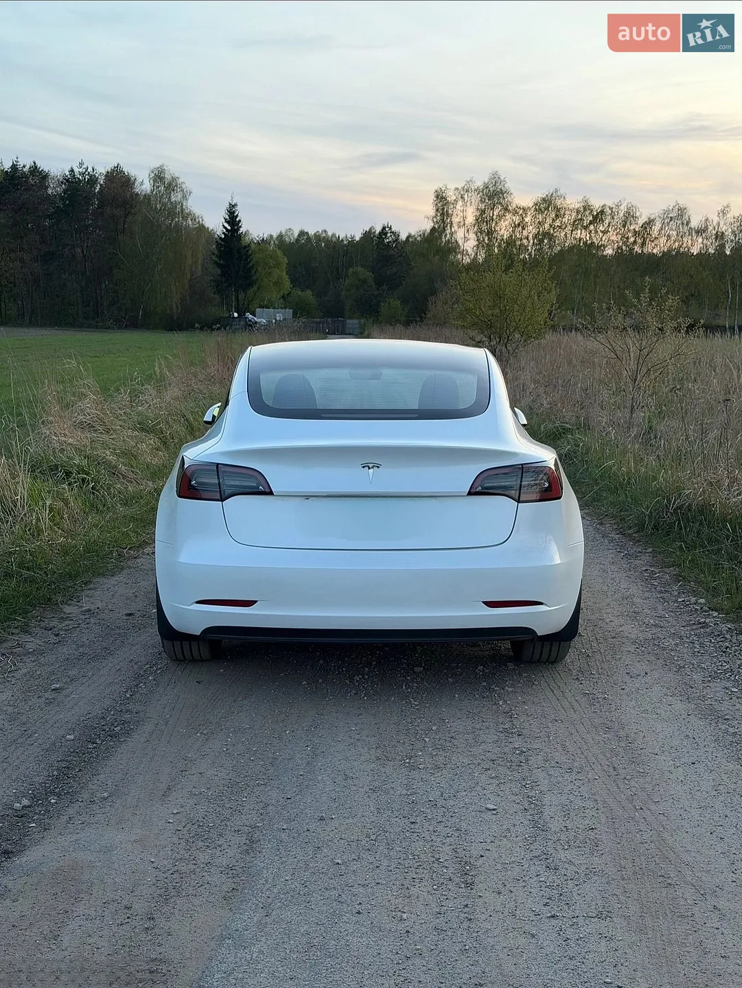 2022 Tesla Model 3 - мініатюра 6