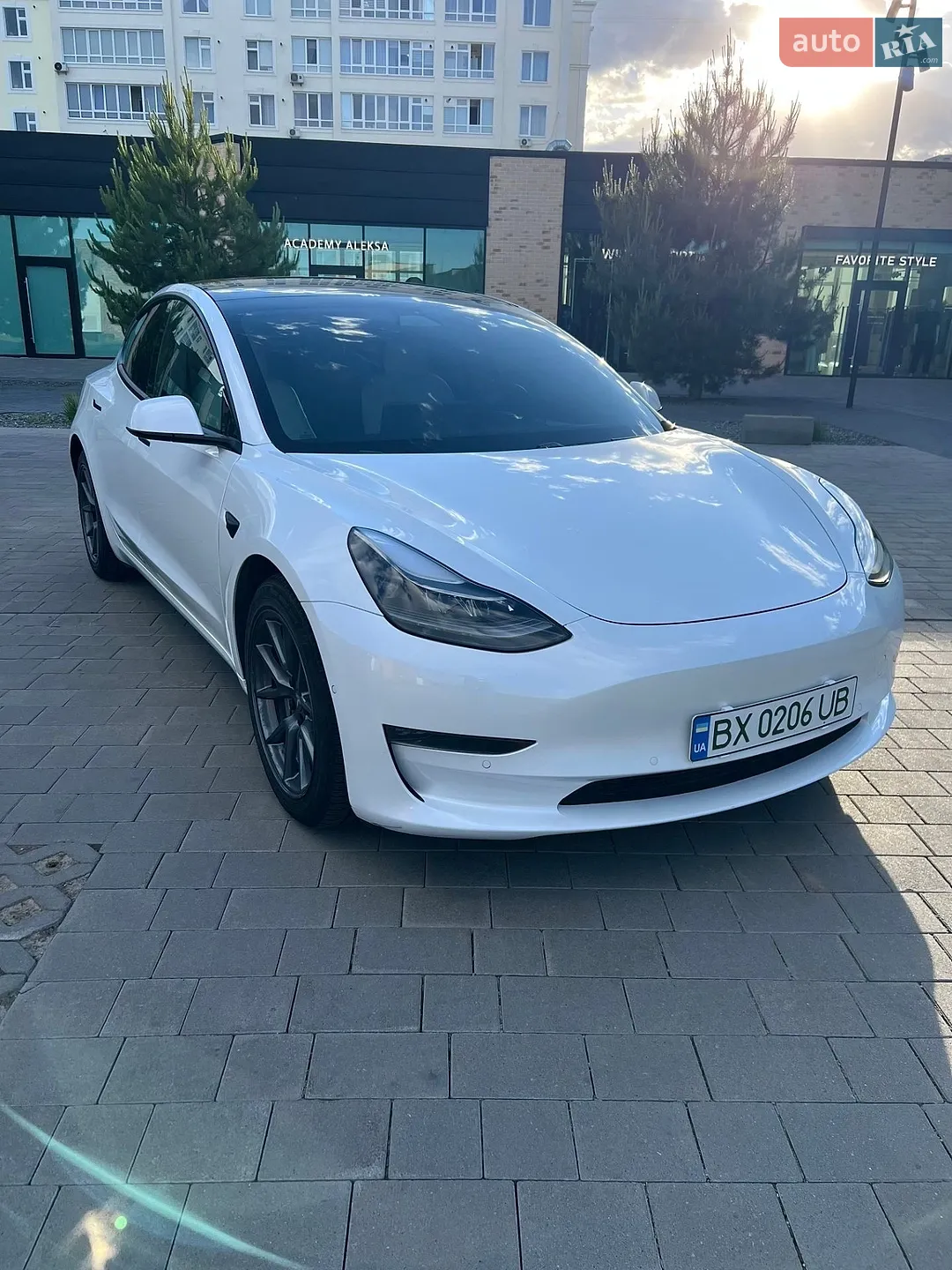 2021 Tesla Model 3 - фото 1