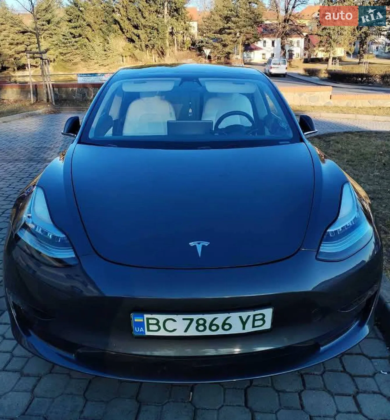 2019 Tesla Model 3 - мініатюра 6
