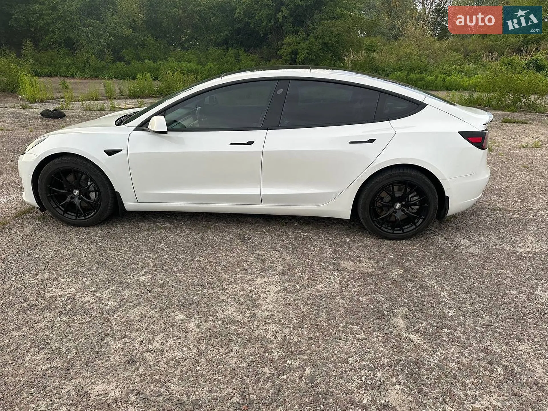 2019 Tesla Model 3 - мініатюра 6