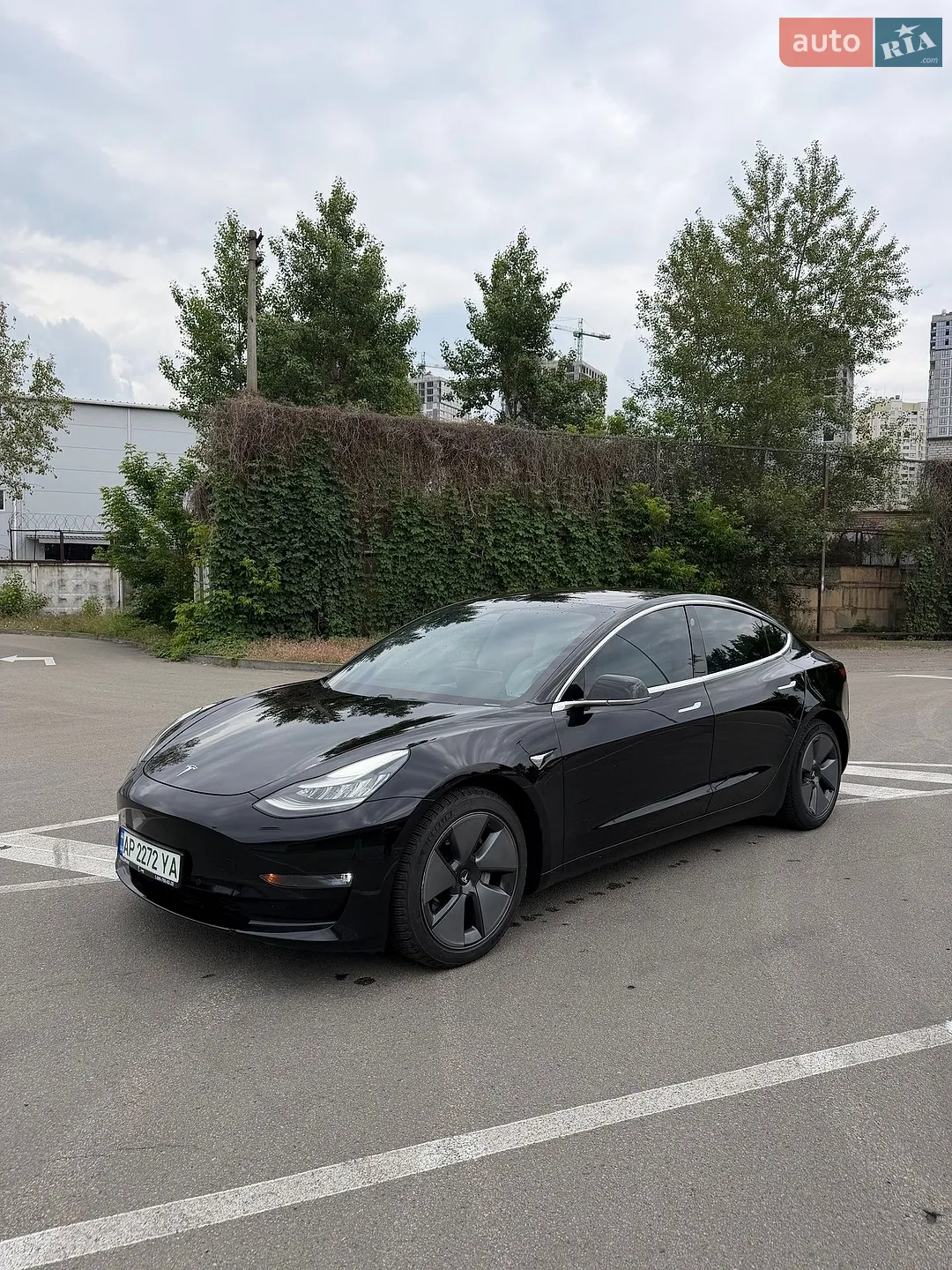 2019 Tesla Model 3 - мініатюра 3