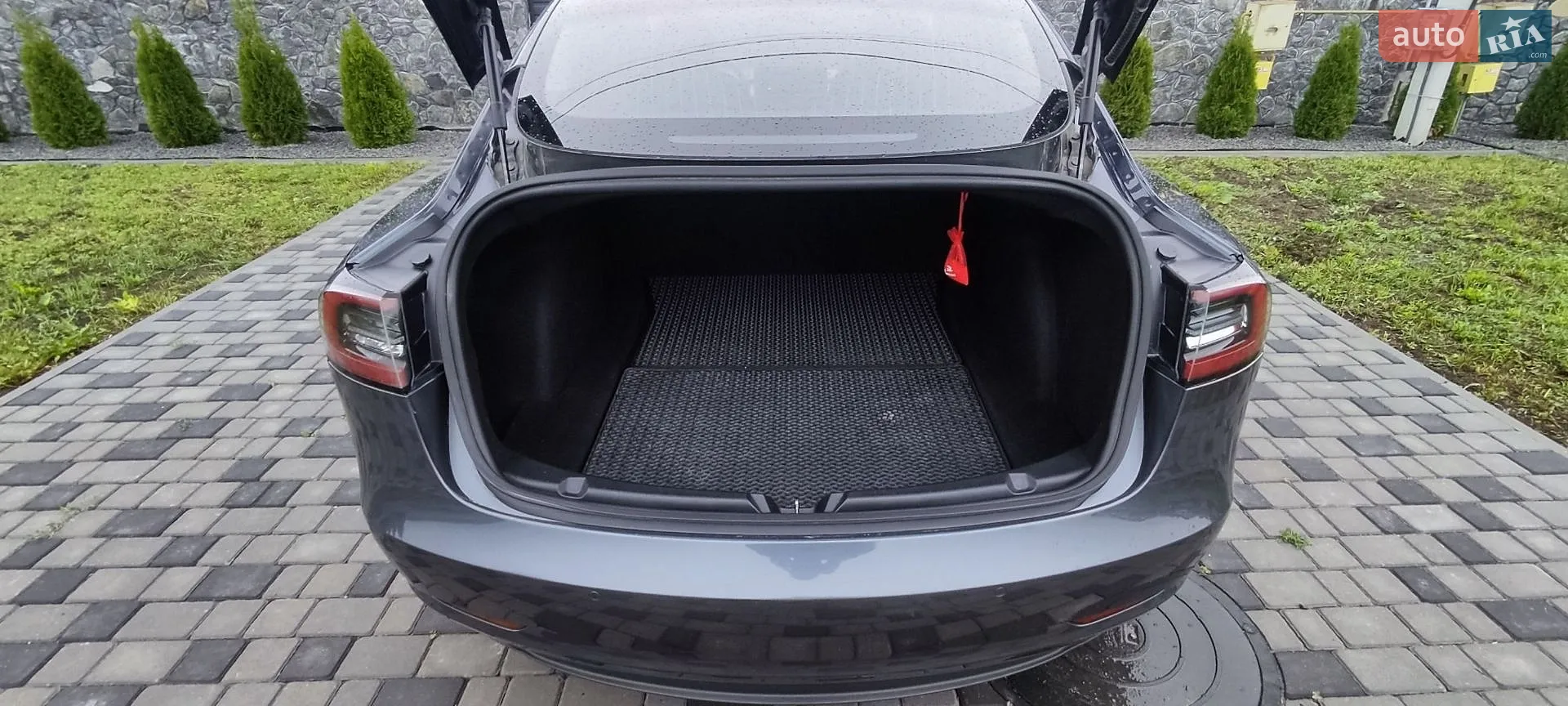2018 Tesla Model 3 - мініатюра 19