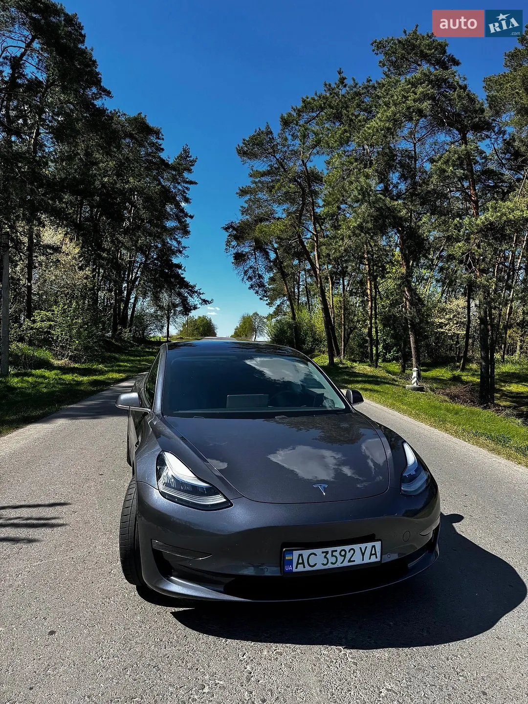 2019 Tesla Model 3 - мініатюра 20