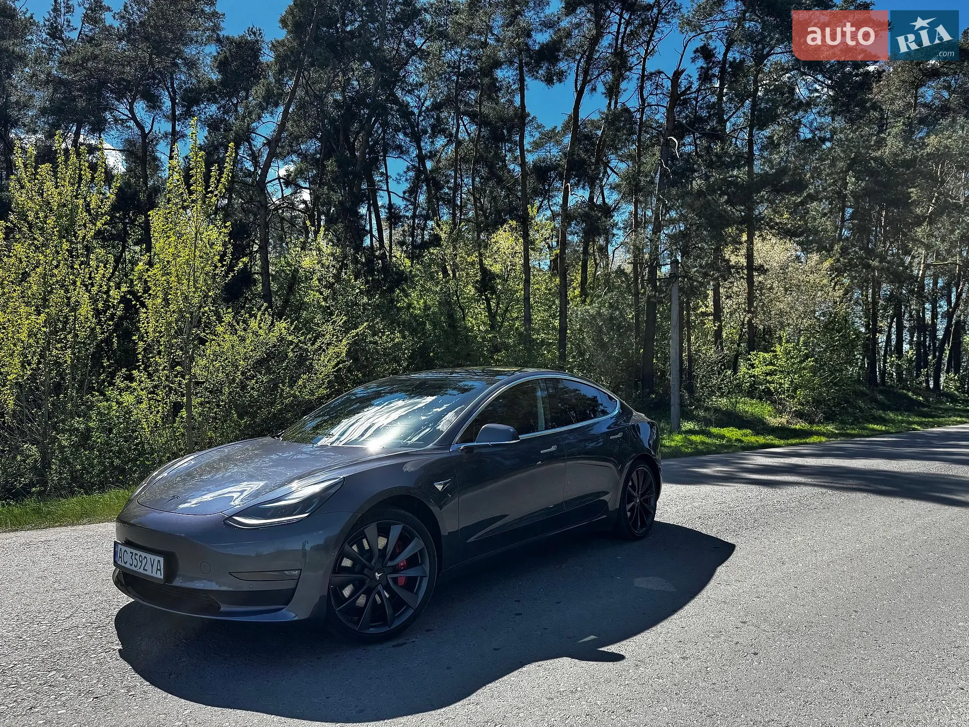 2019 Tesla Model 3 - мініатюра 9