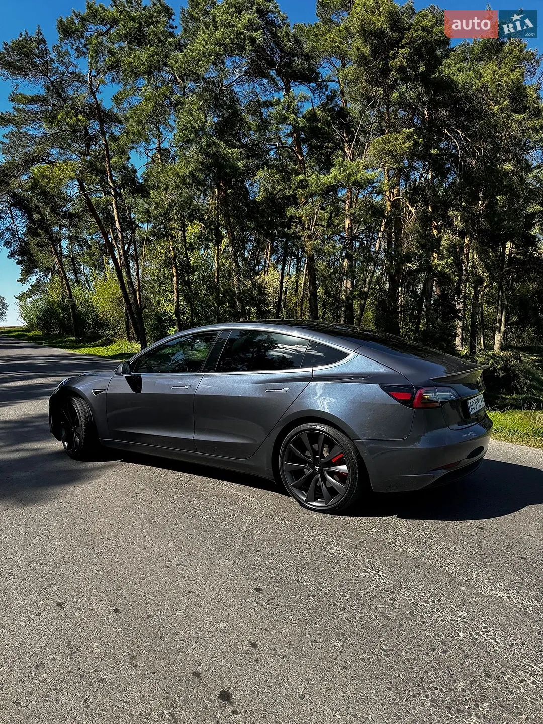 2019 Tesla Model 3 - мініатюра 13
