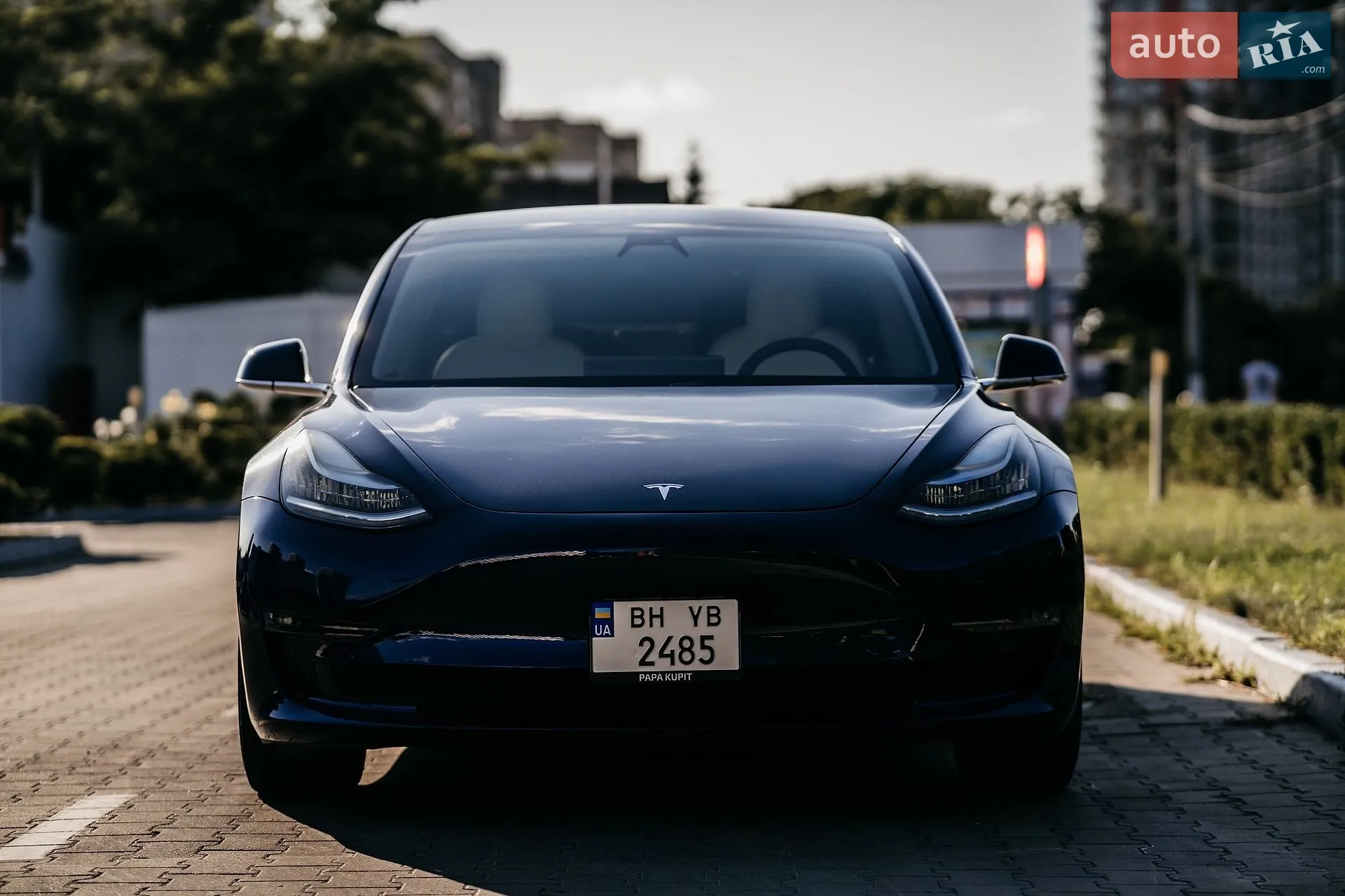 2018 Tesla Model 3 - мініатюра 3