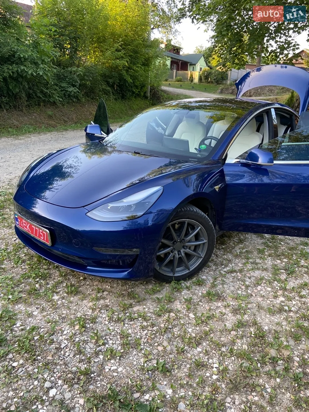 2019 Tesla Model 3 - мініатюра 18