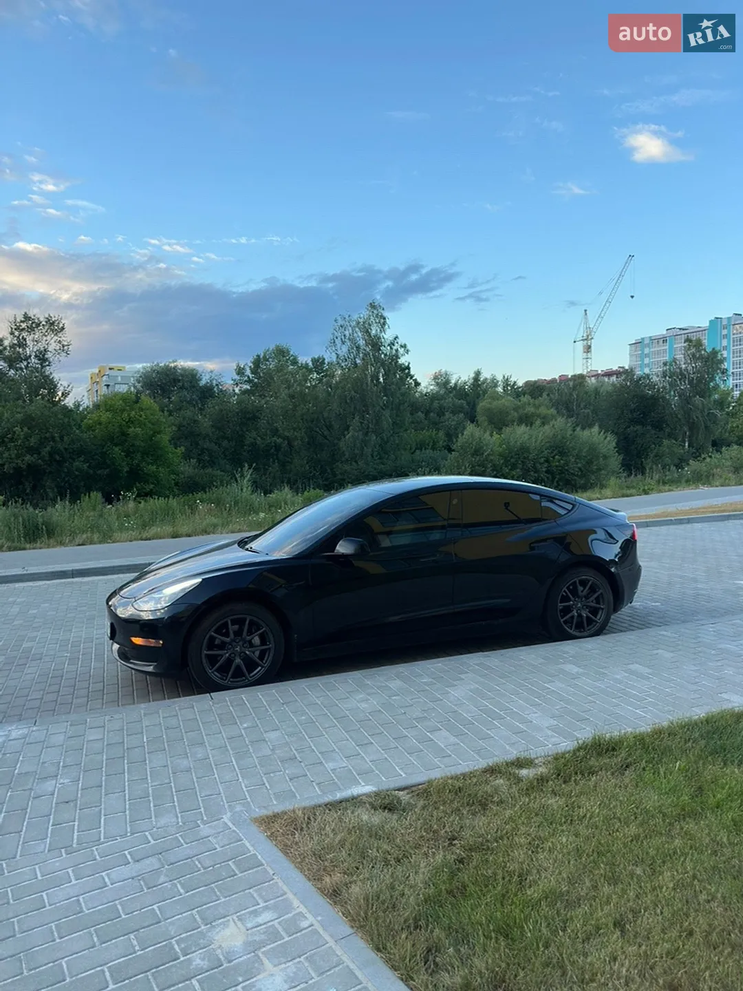 2019 Tesla Model 3 - мініатюра 3