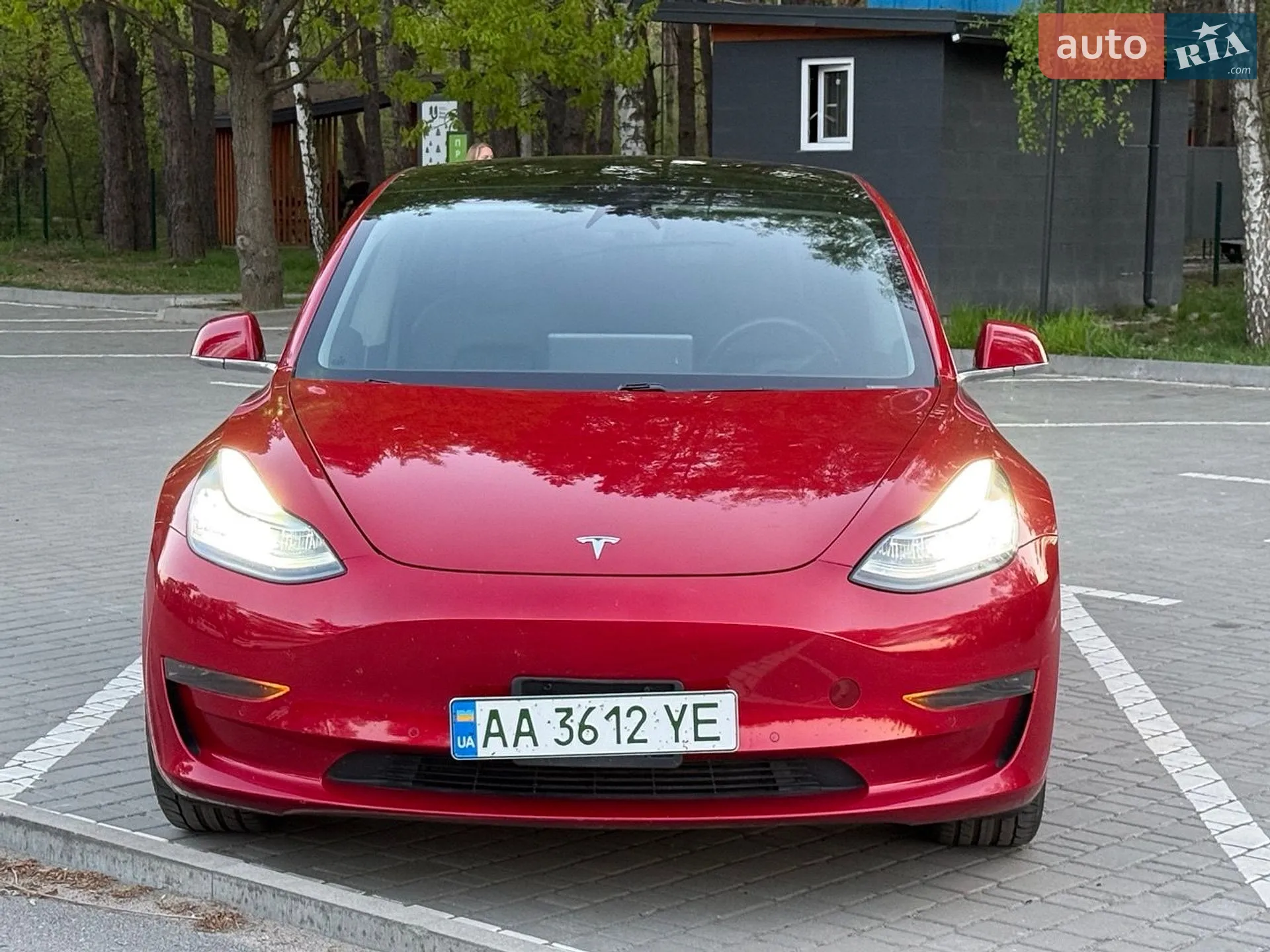 2019 Tesla Model 3 - мініатюра 19