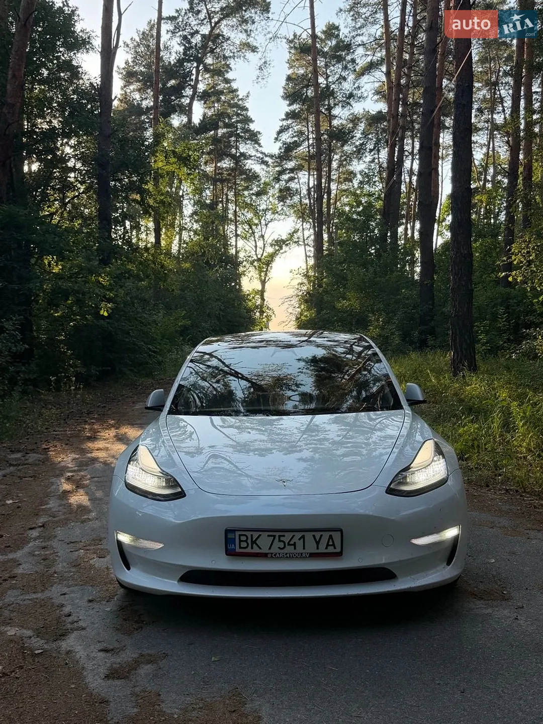 2022 Tesla Model 3 - мініатюра 2