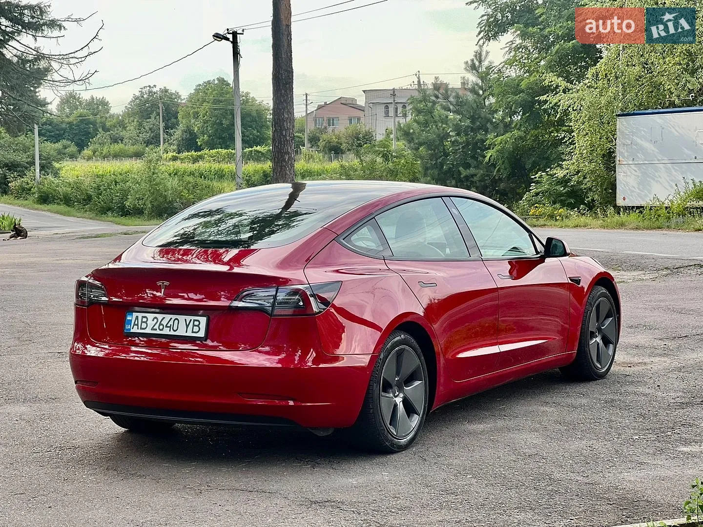 2021 Tesla Model 3 - мініатюра 7