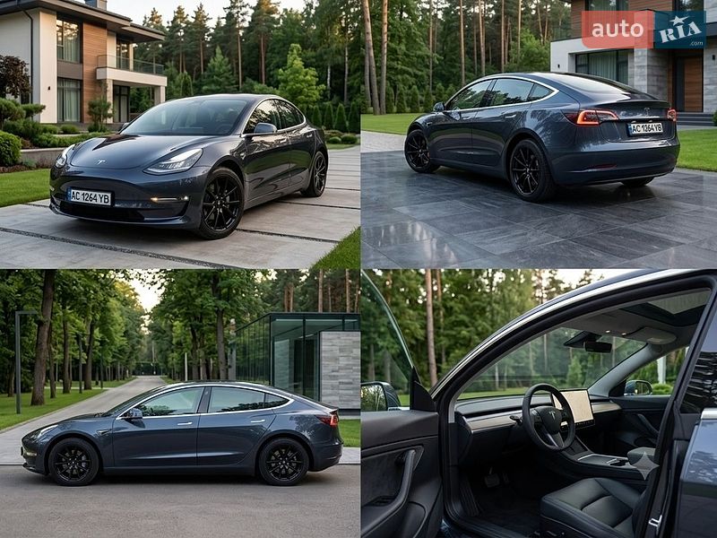 Tesla Model 3 2019
