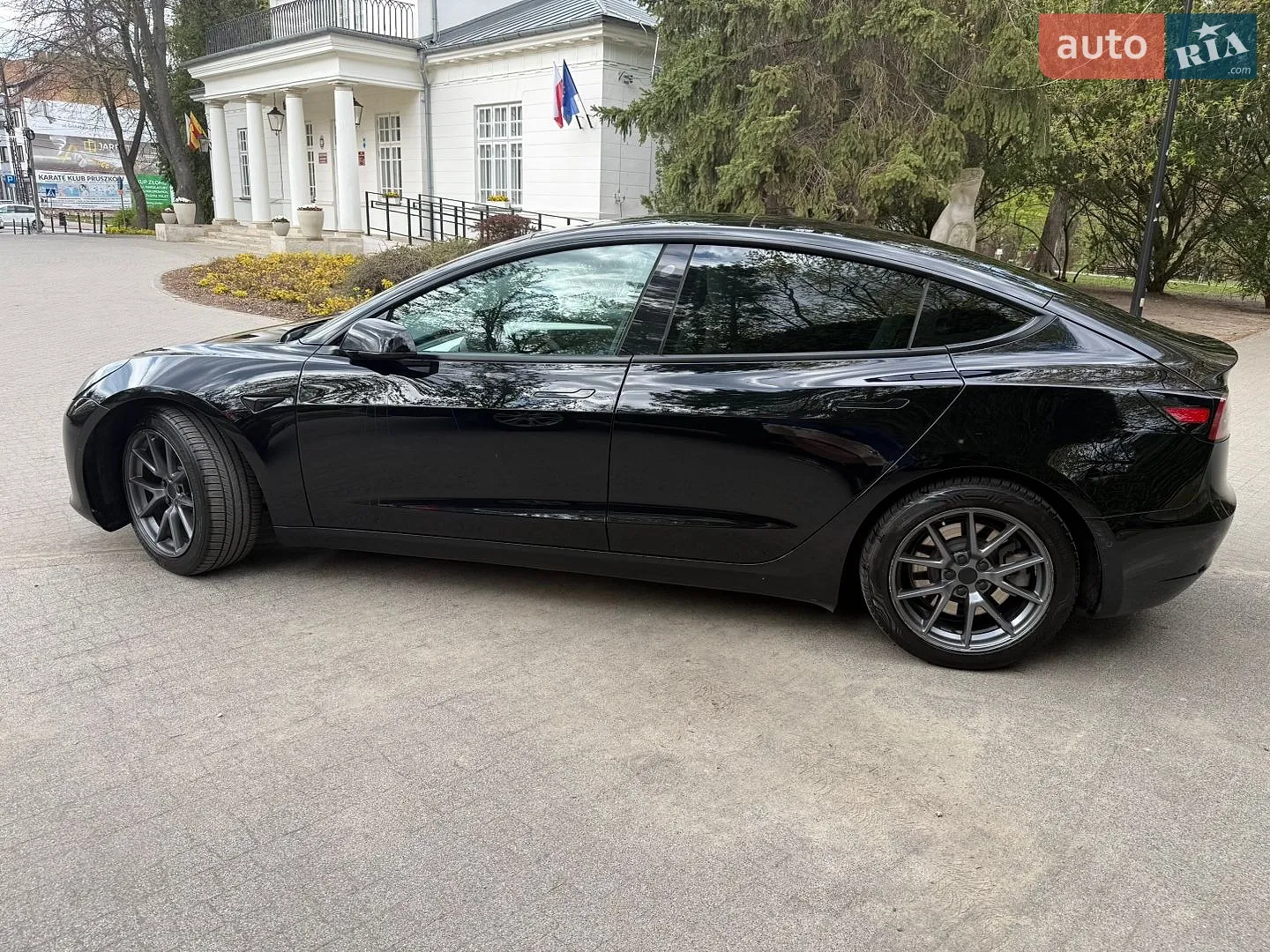 2021 Tesla Model 3 - мініатюра 9