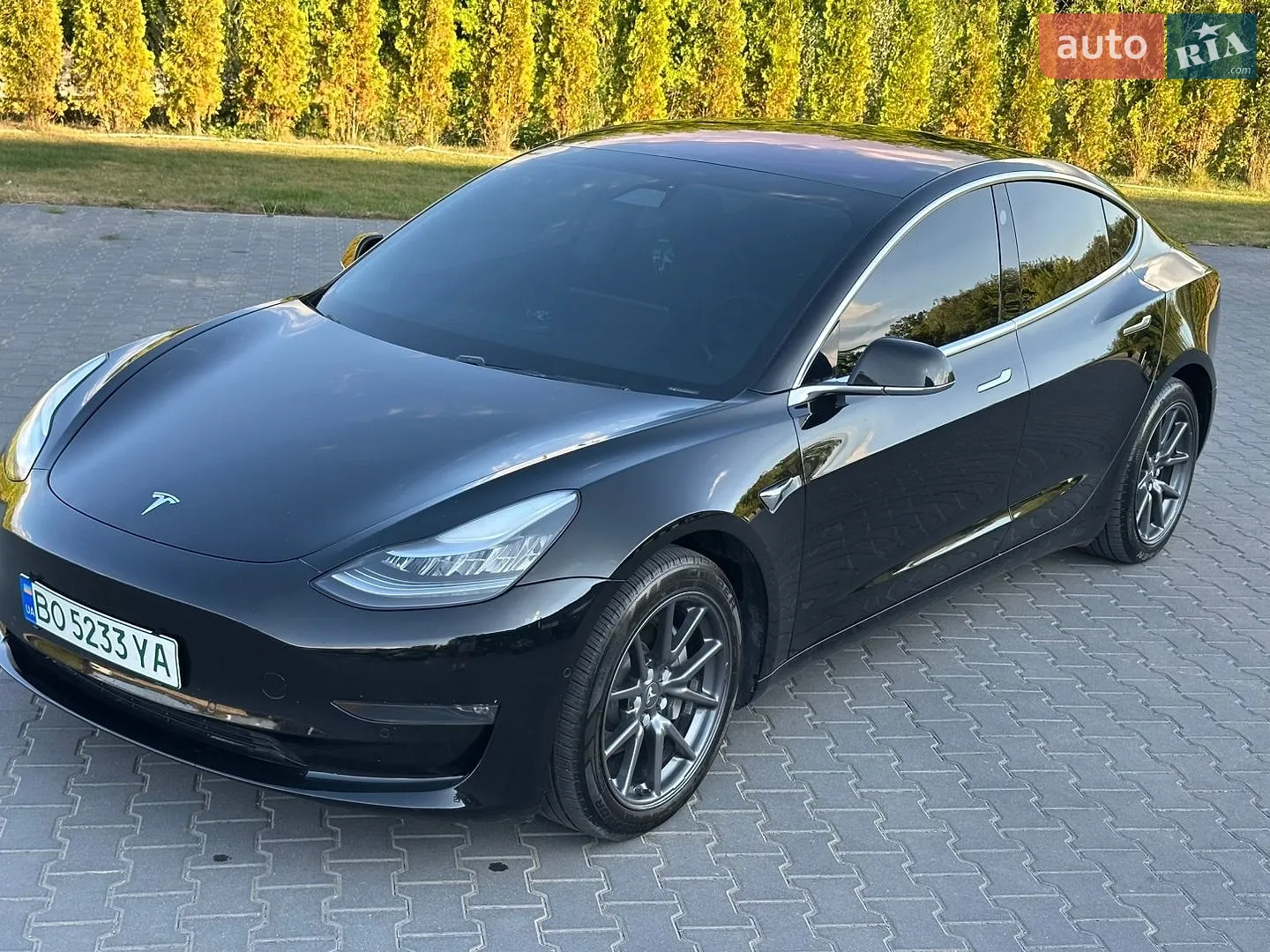 2019 Tesla Model 3 - мініатюра 6