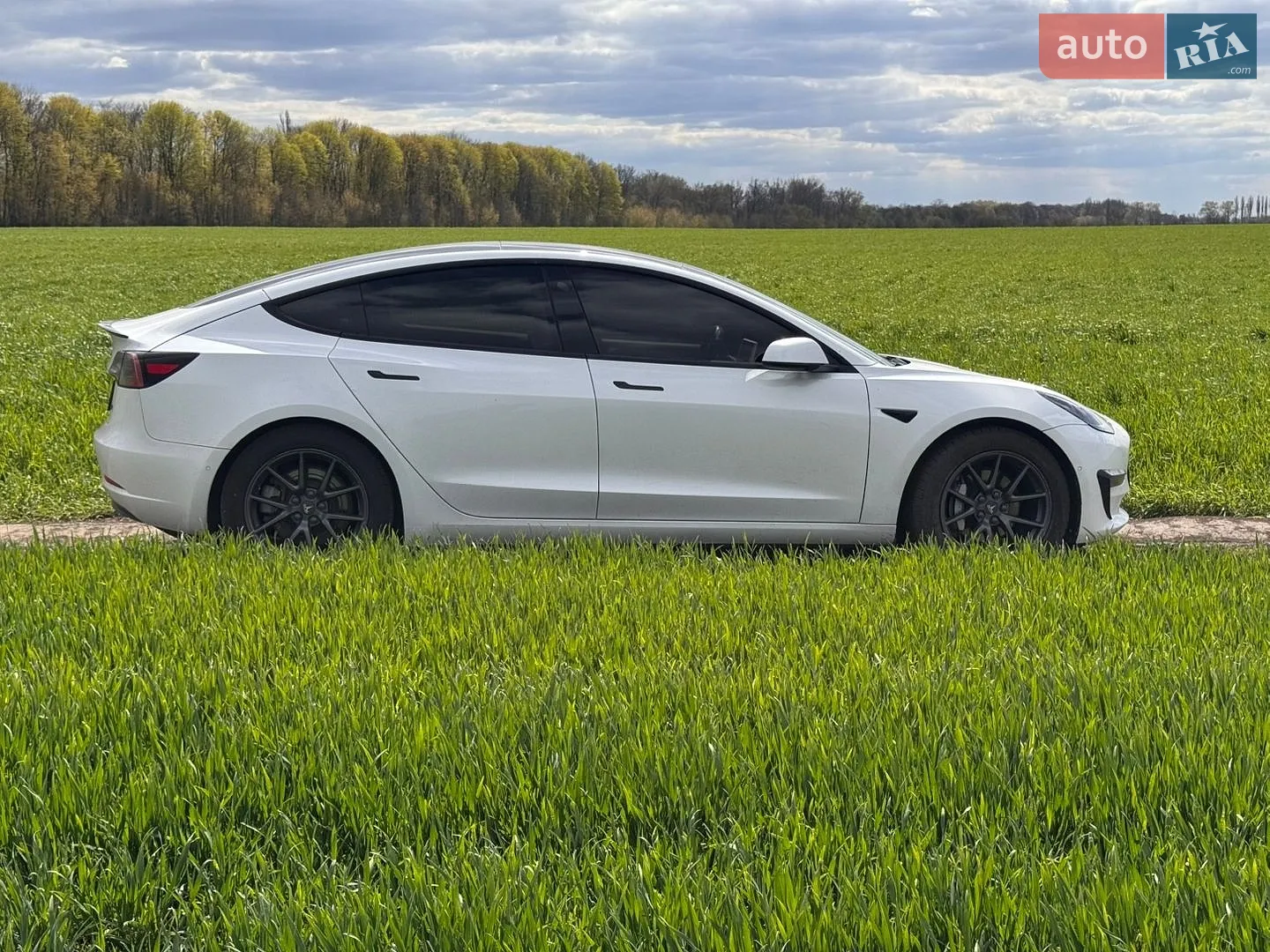 2022 Tesla Model 3 - мініатюра 3
