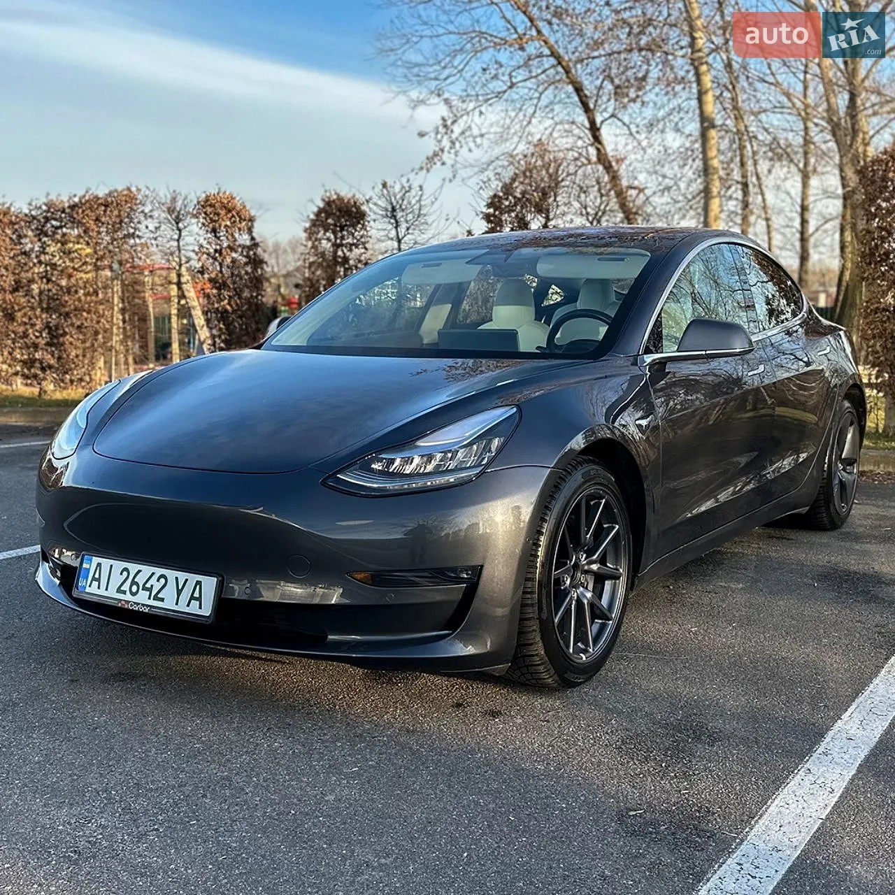 2018 Tesla Model 3 - мініатюра 4