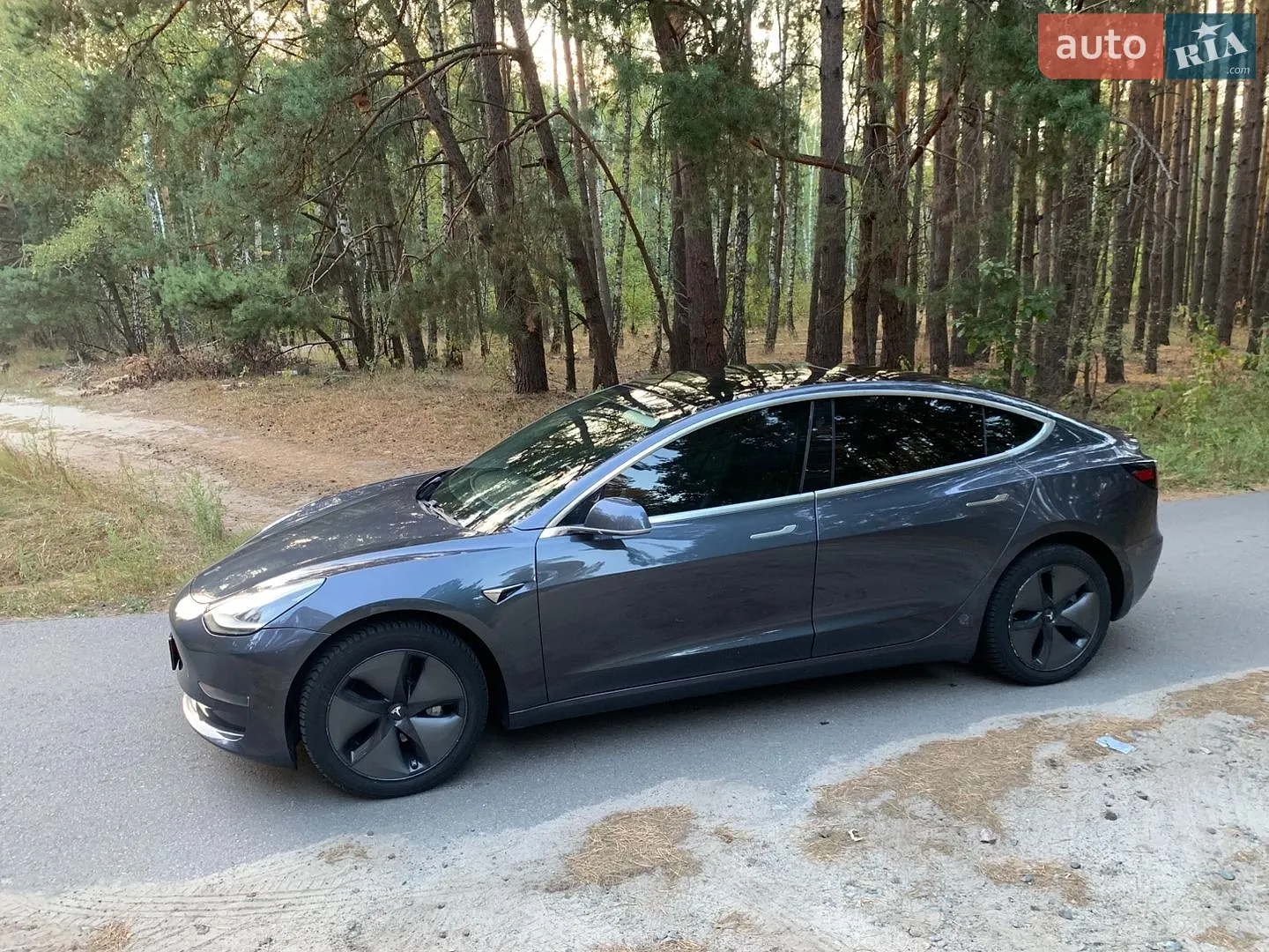 2019 Tesla Model 3 - фото 1