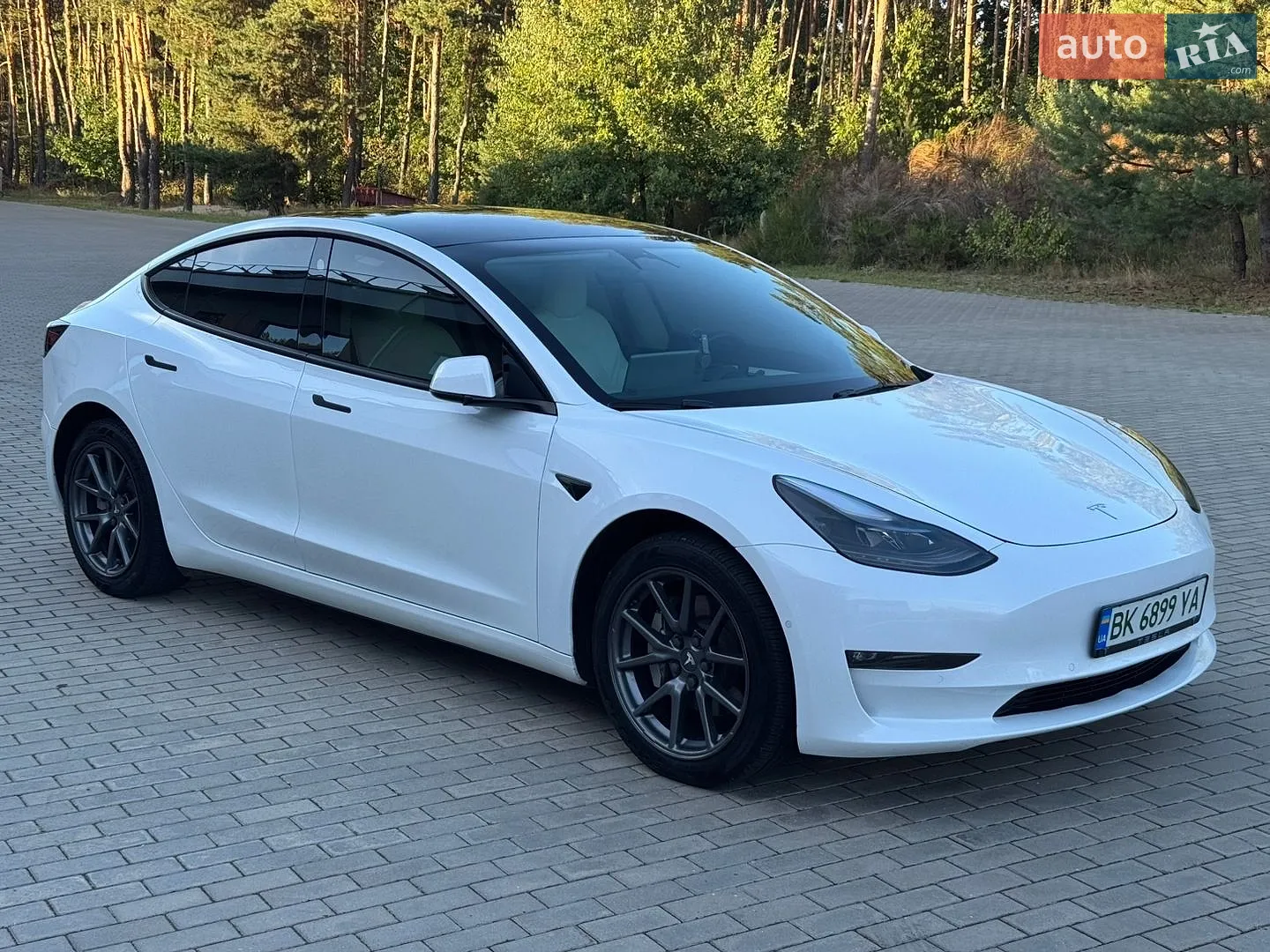 2021 Tesla Model 3 - мініатюра 3