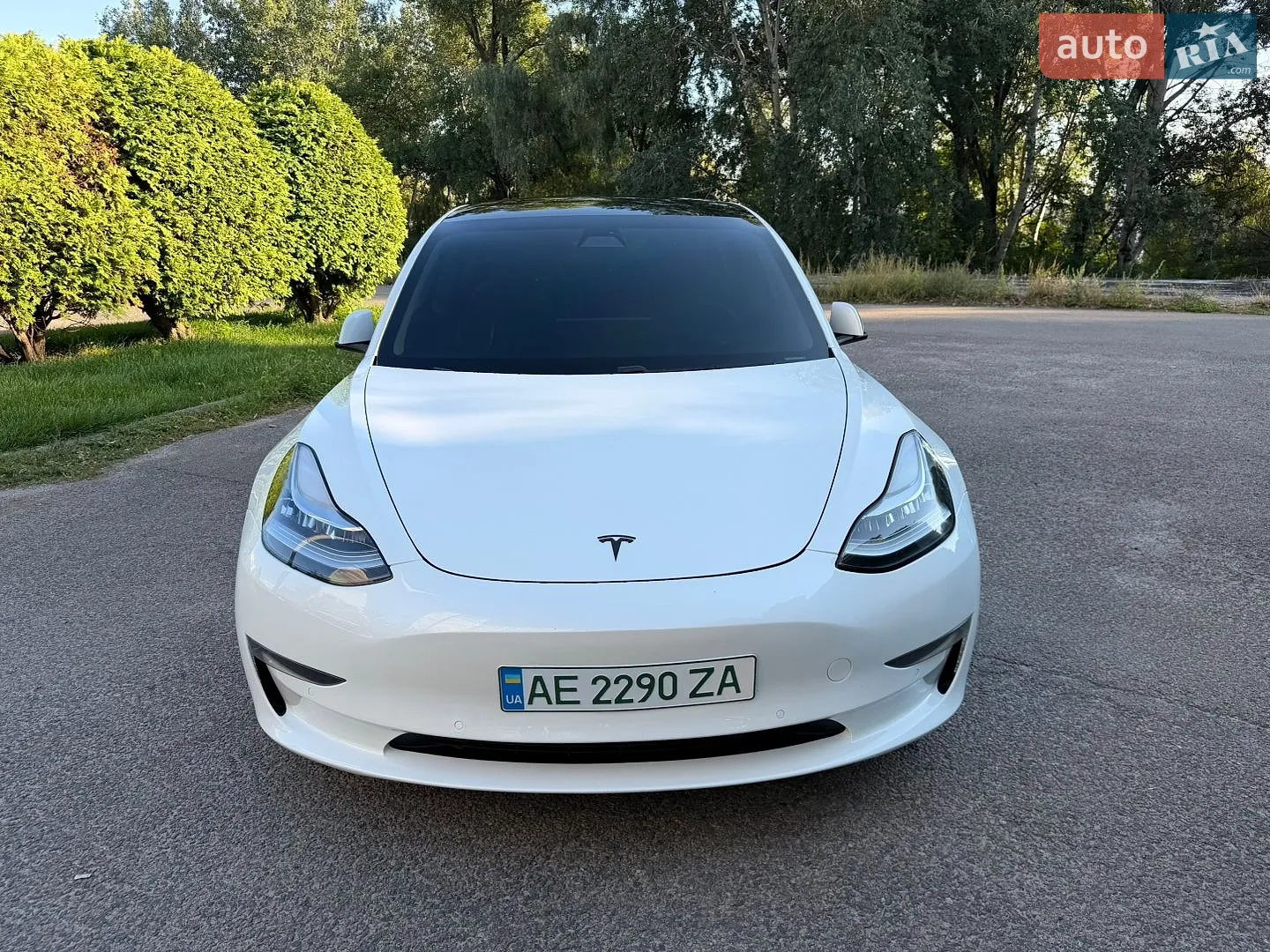 2019 Tesla Model 3 - мініатюра 23