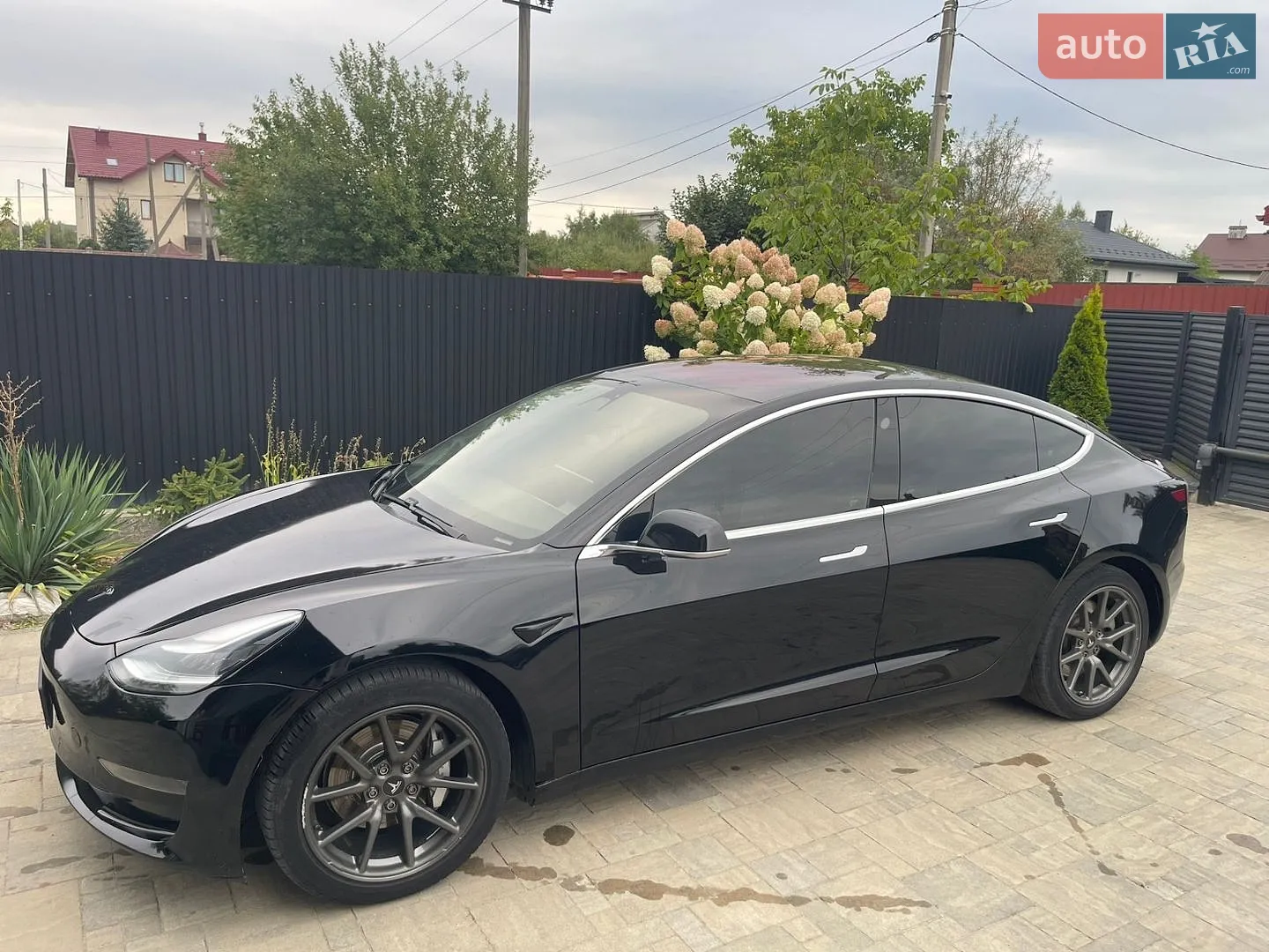 2019 Tesla Model 3 - мініатюра 2