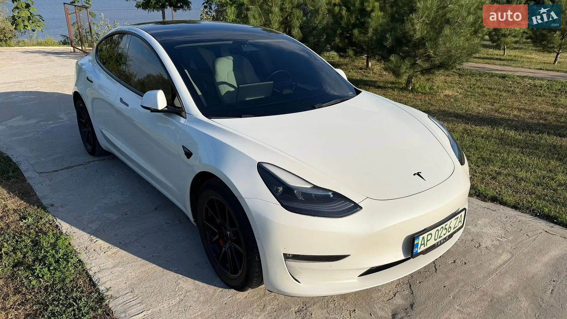 2021 Tesla Model 3 - мініатюра 2