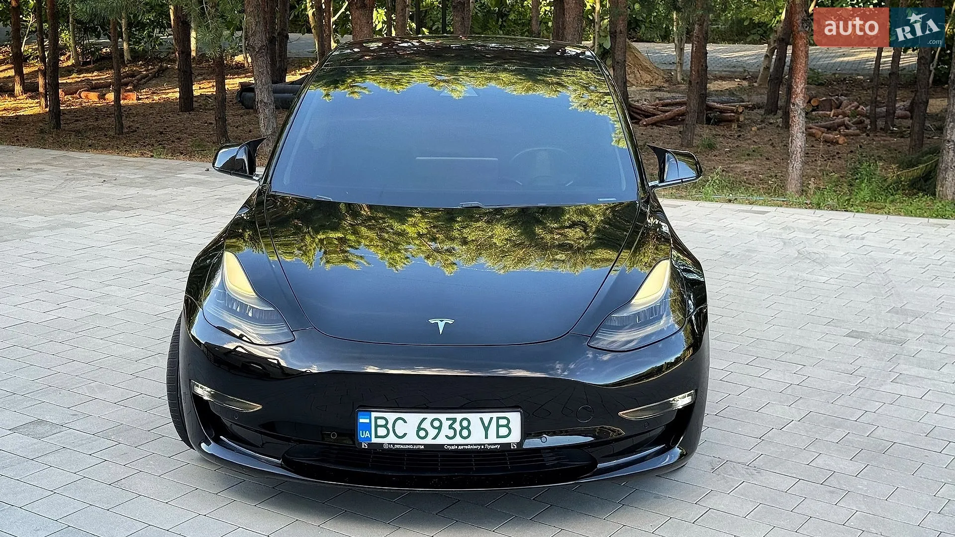 2019 Tesla Model 3 - мініатюра 3