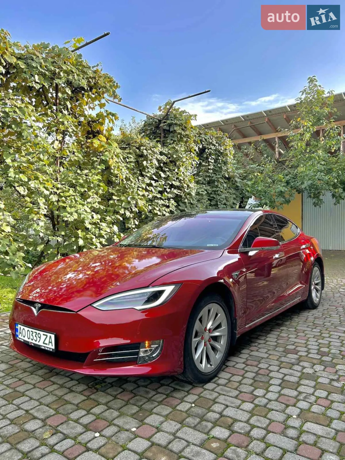 2019 Tesla Model S - фото 1