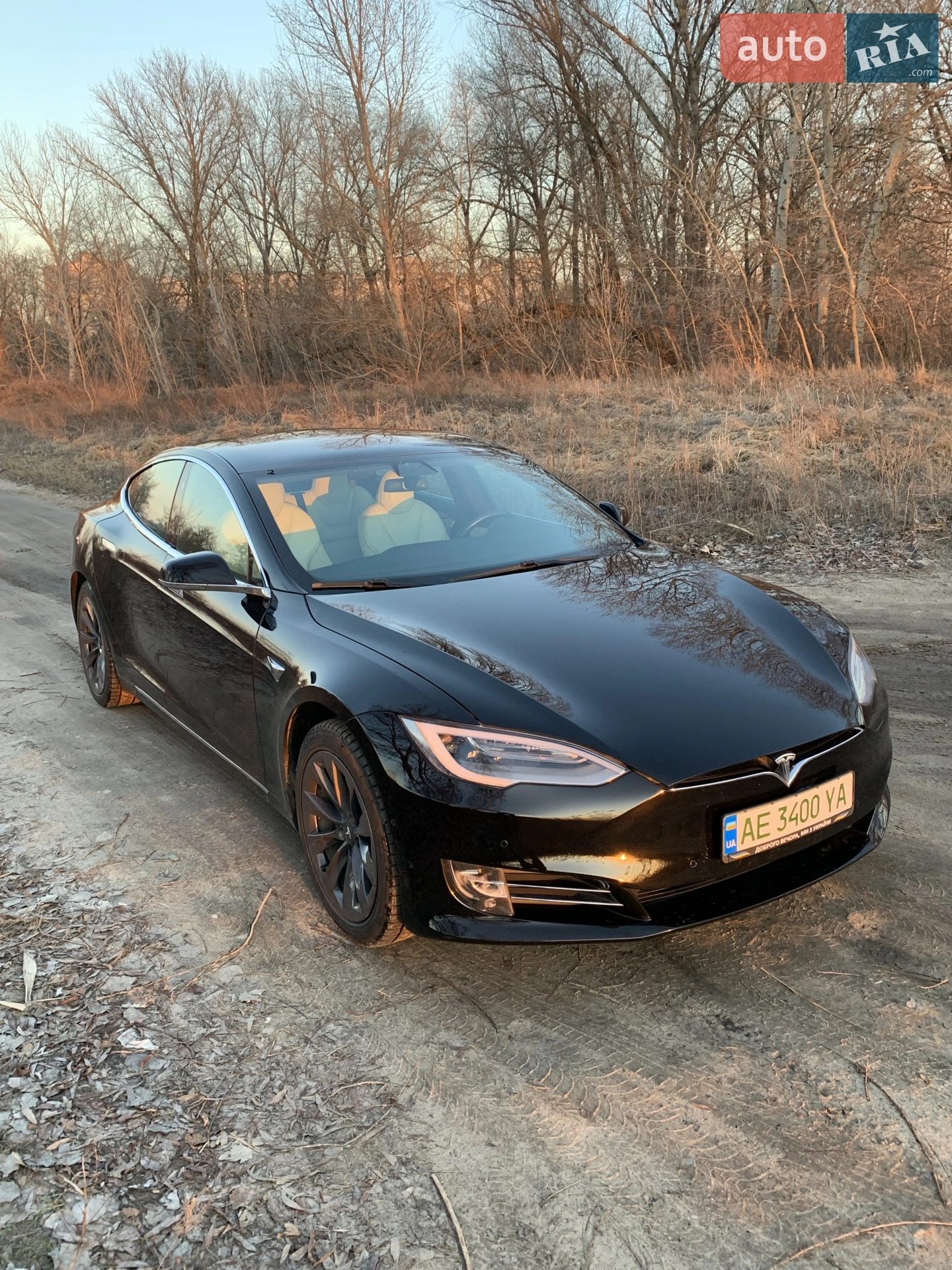 2019 Tesla Model S - мініатюра 4