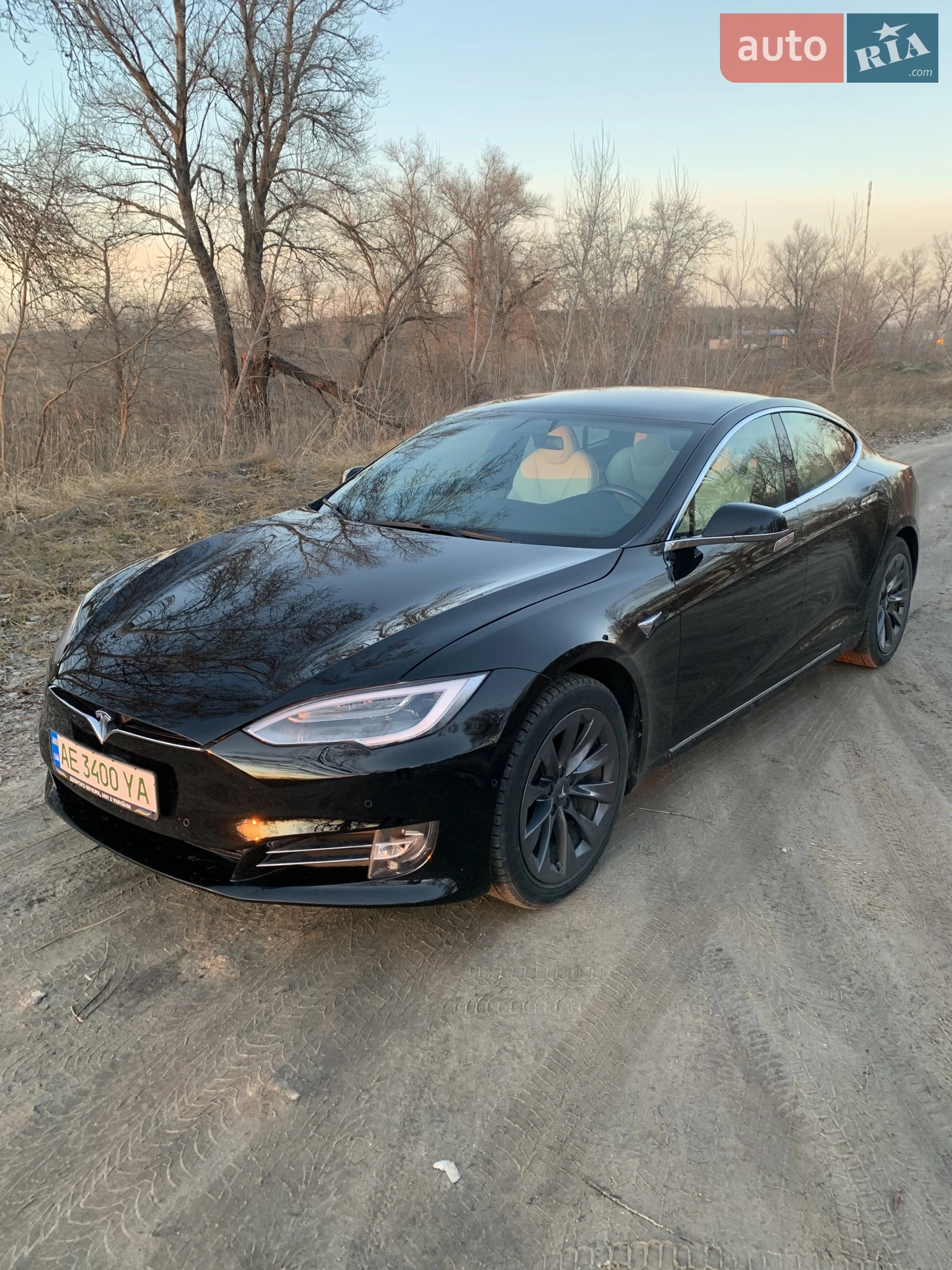 2019 Tesla Model S - фото 1