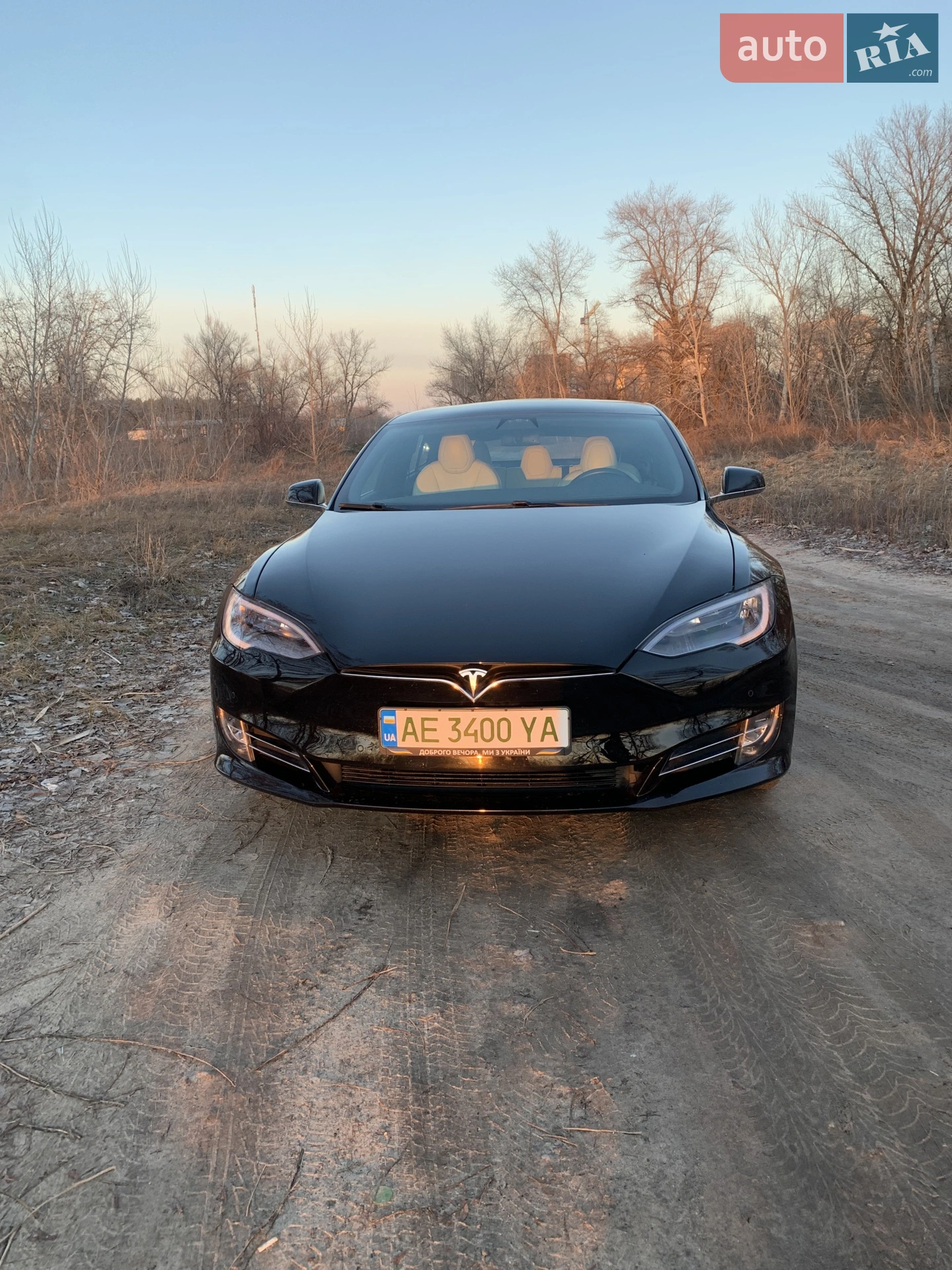 2019 Tesla Model S - мініатюра 3