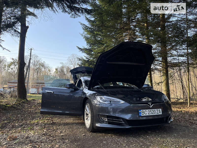 Ліфтбек Tesla Model S 2019 в Стрию