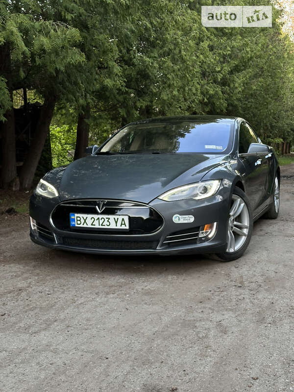 Лифтбек Tesla Model S 2014 в Летичеве