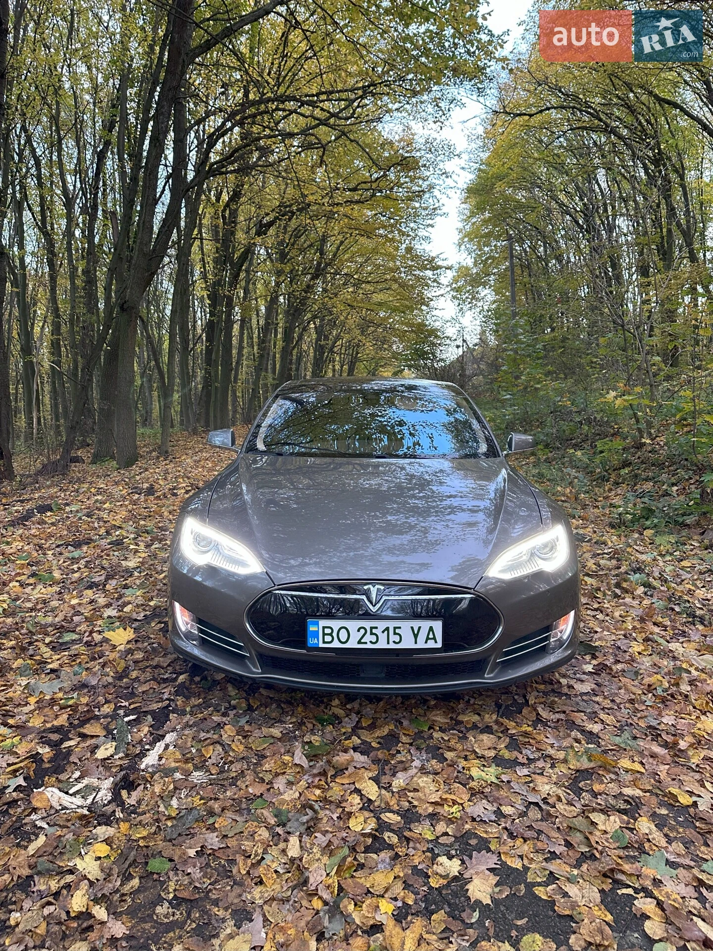 2015 Tesla Model S - мініатюра 5