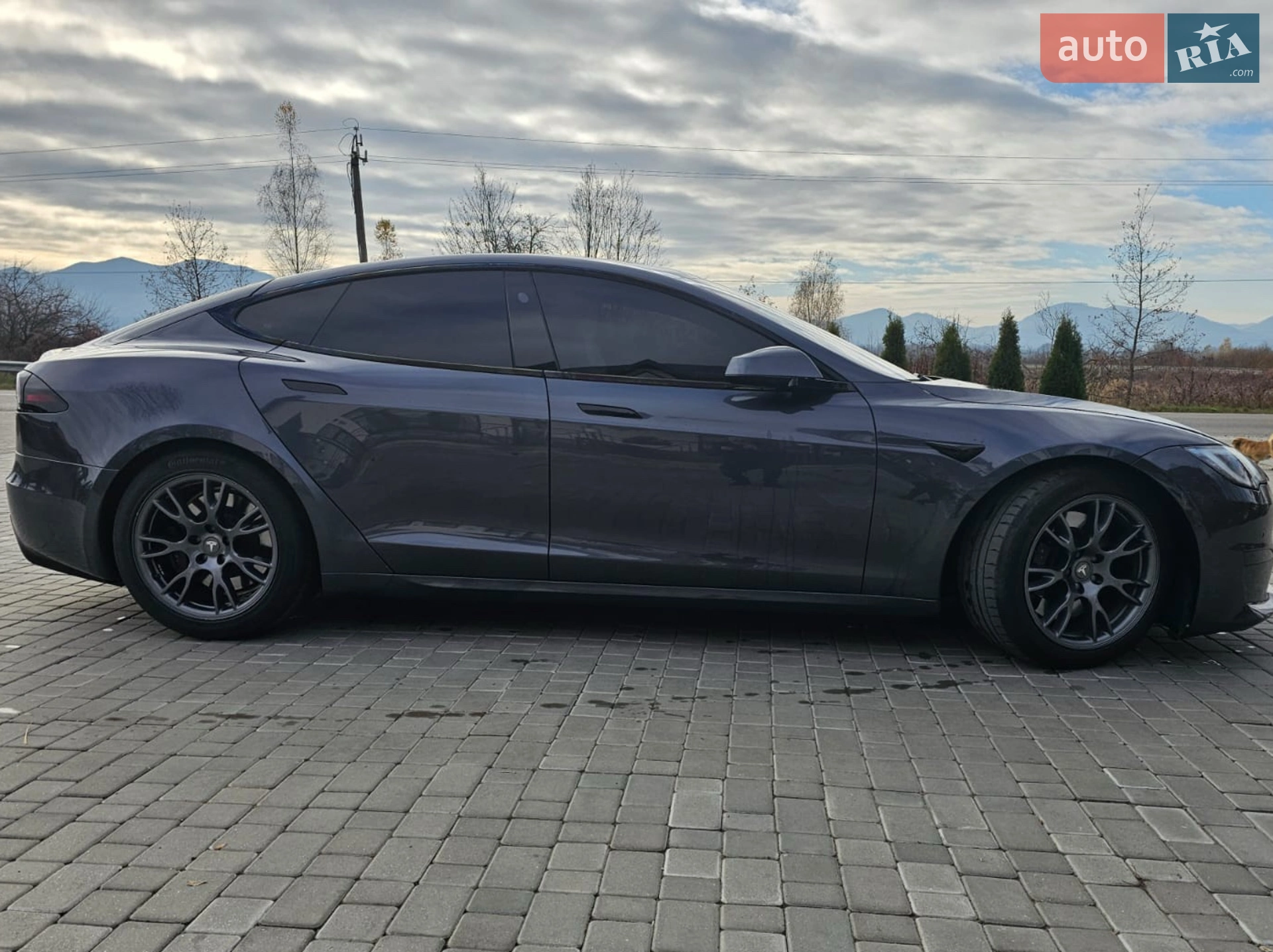 2023 Tesla Model S - фото 1
