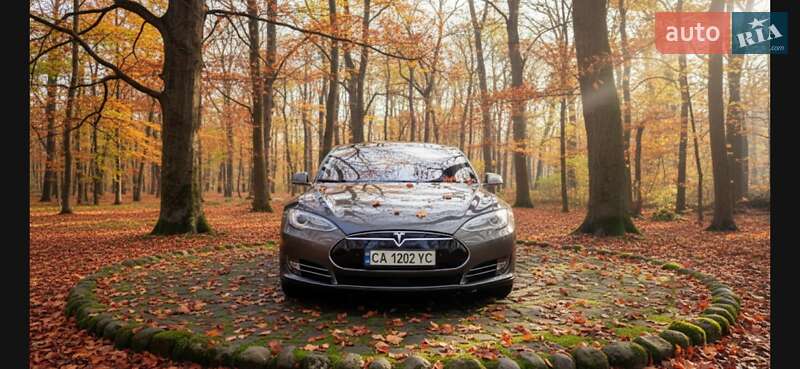 Ліфтбек Tesla Model S 2016 в Черкасах фото 39 Ліфтбек Tesla Model S 2016 в Черкасах