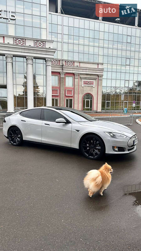 Лифтбек Tesla Model S 2013 в Одессе