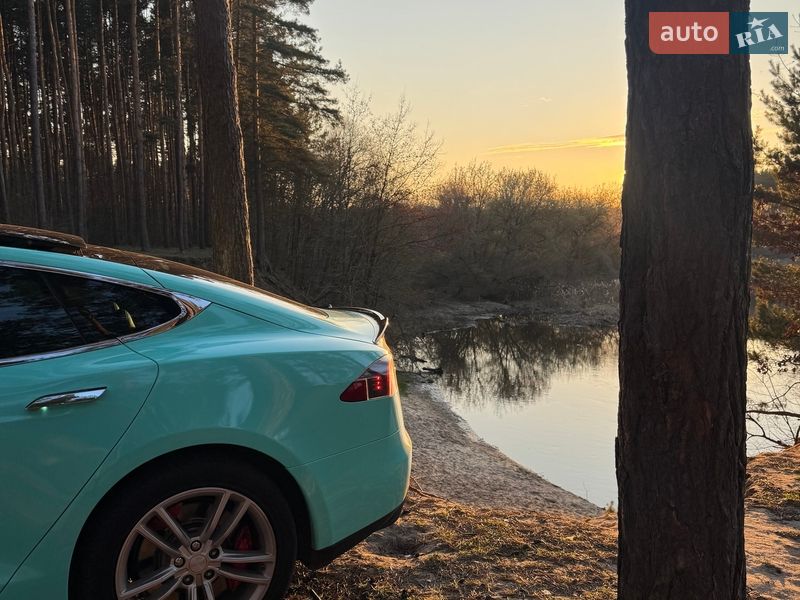 Ліфтбек Tesla Model S 2013 в Шепетівці
