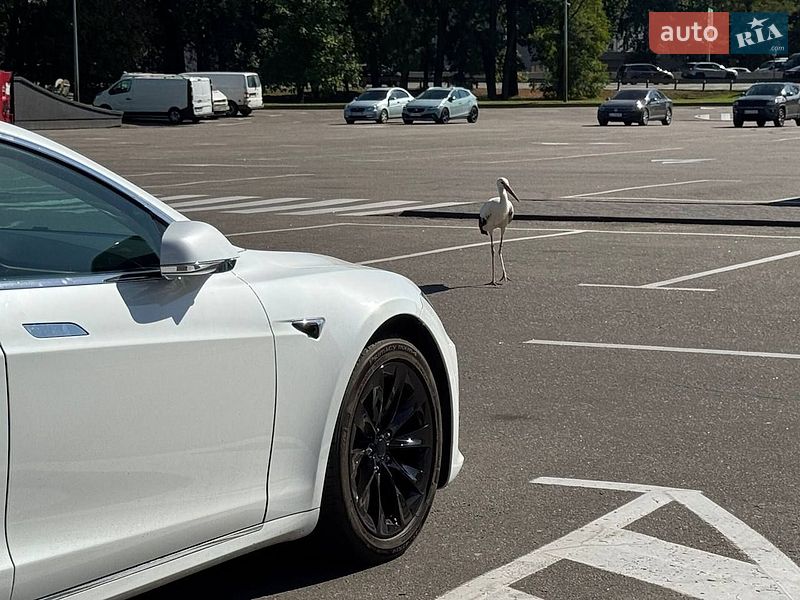 Ліфтбек Tesla Model S 2017 в Києві