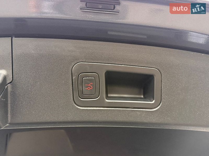 Ліфтбек Tesla Model S 2020 в Стрию