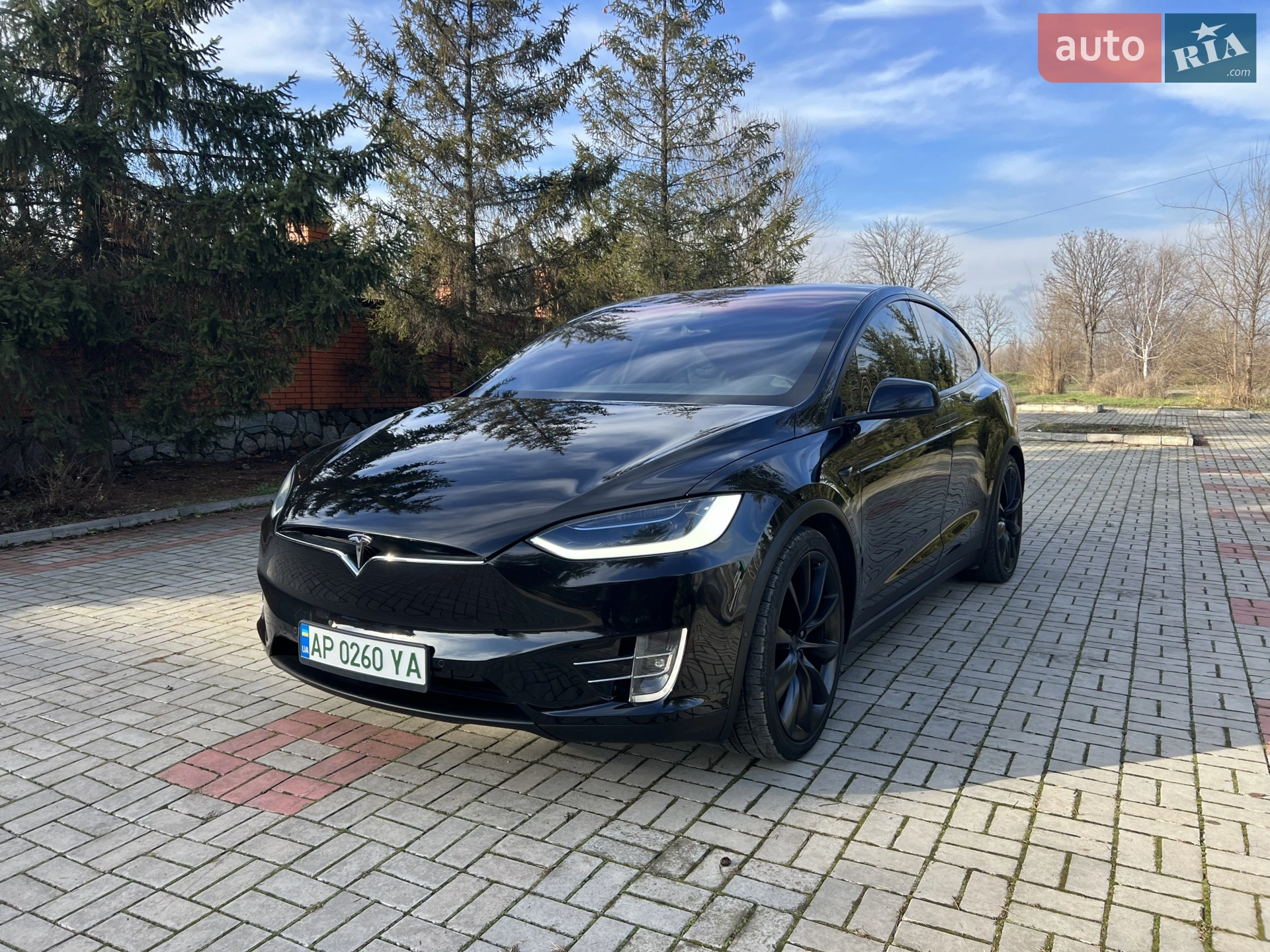 2017 Tesla Model X - мініатюра 10