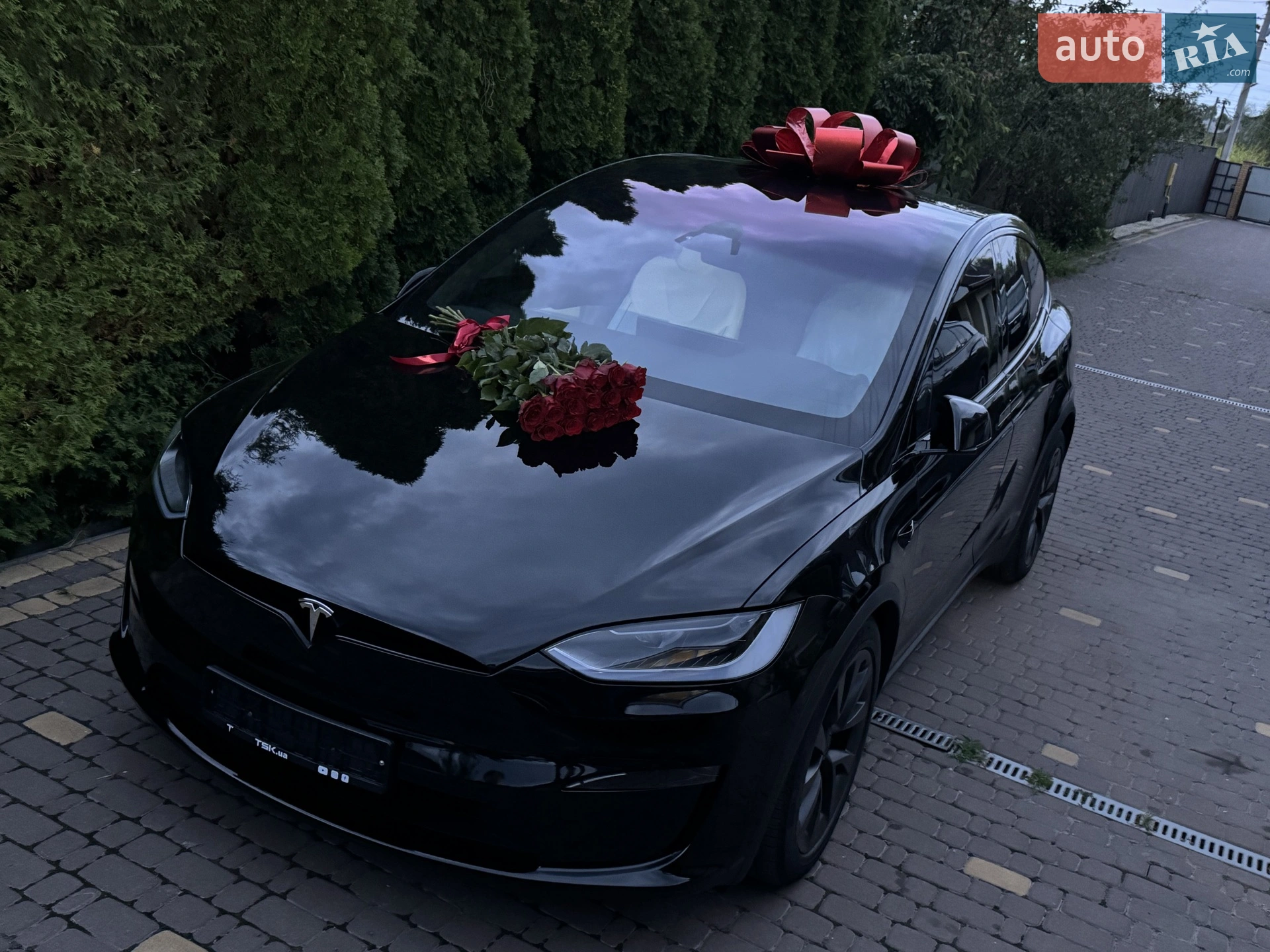 2023 Tesla Model X - мініатюра 6