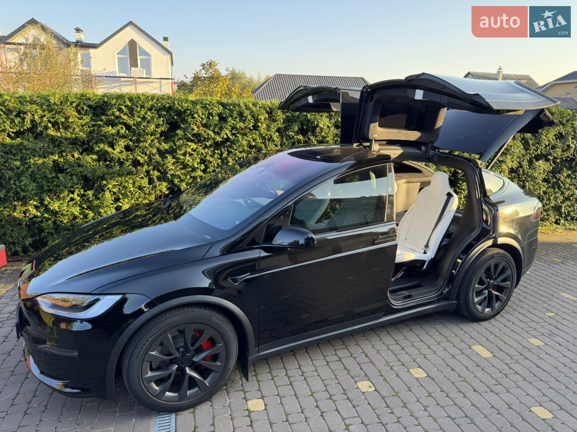 2023 Tesla Model X - мініатюра 12