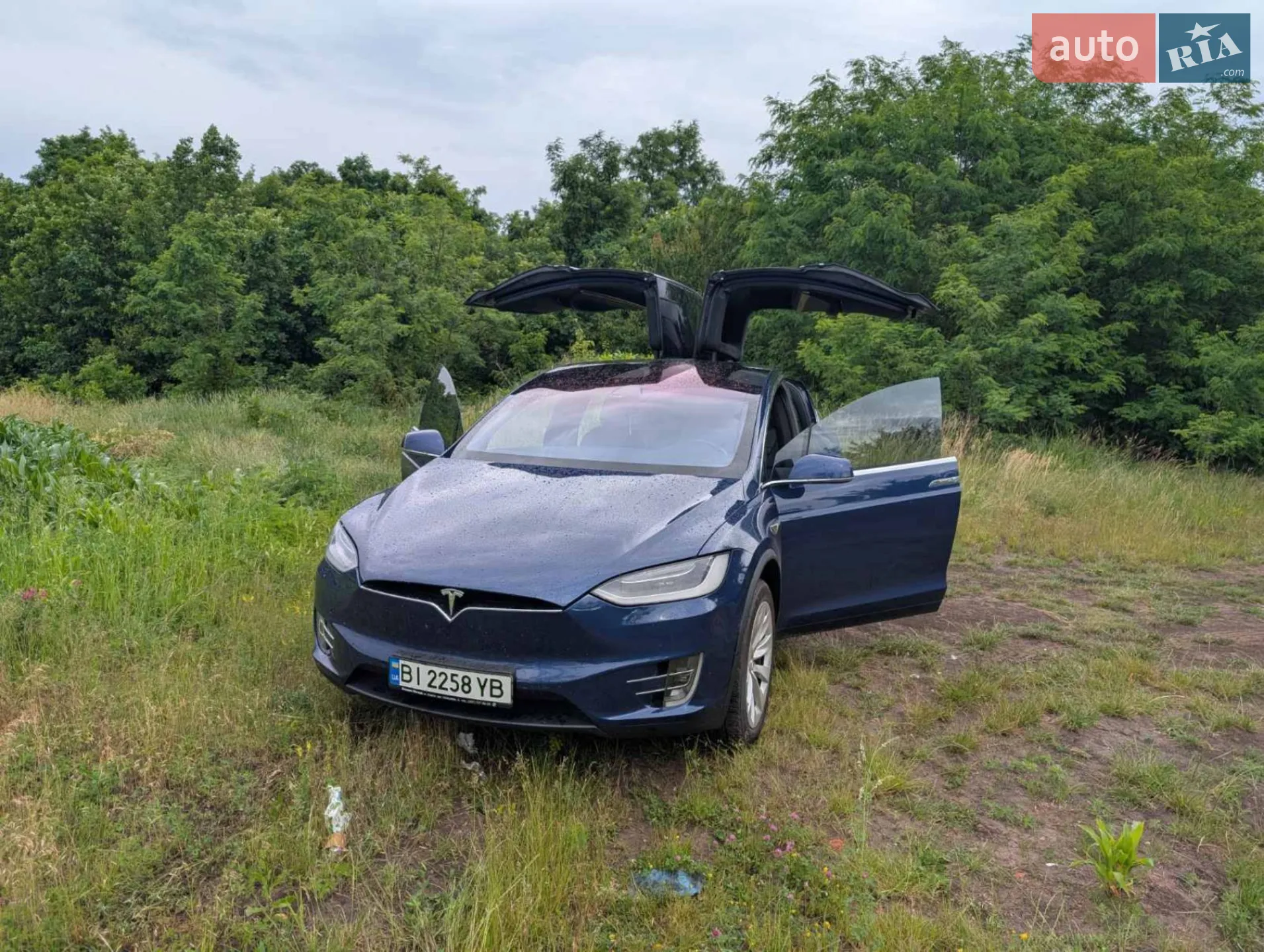 2017 Tesla Model X - фото 1
