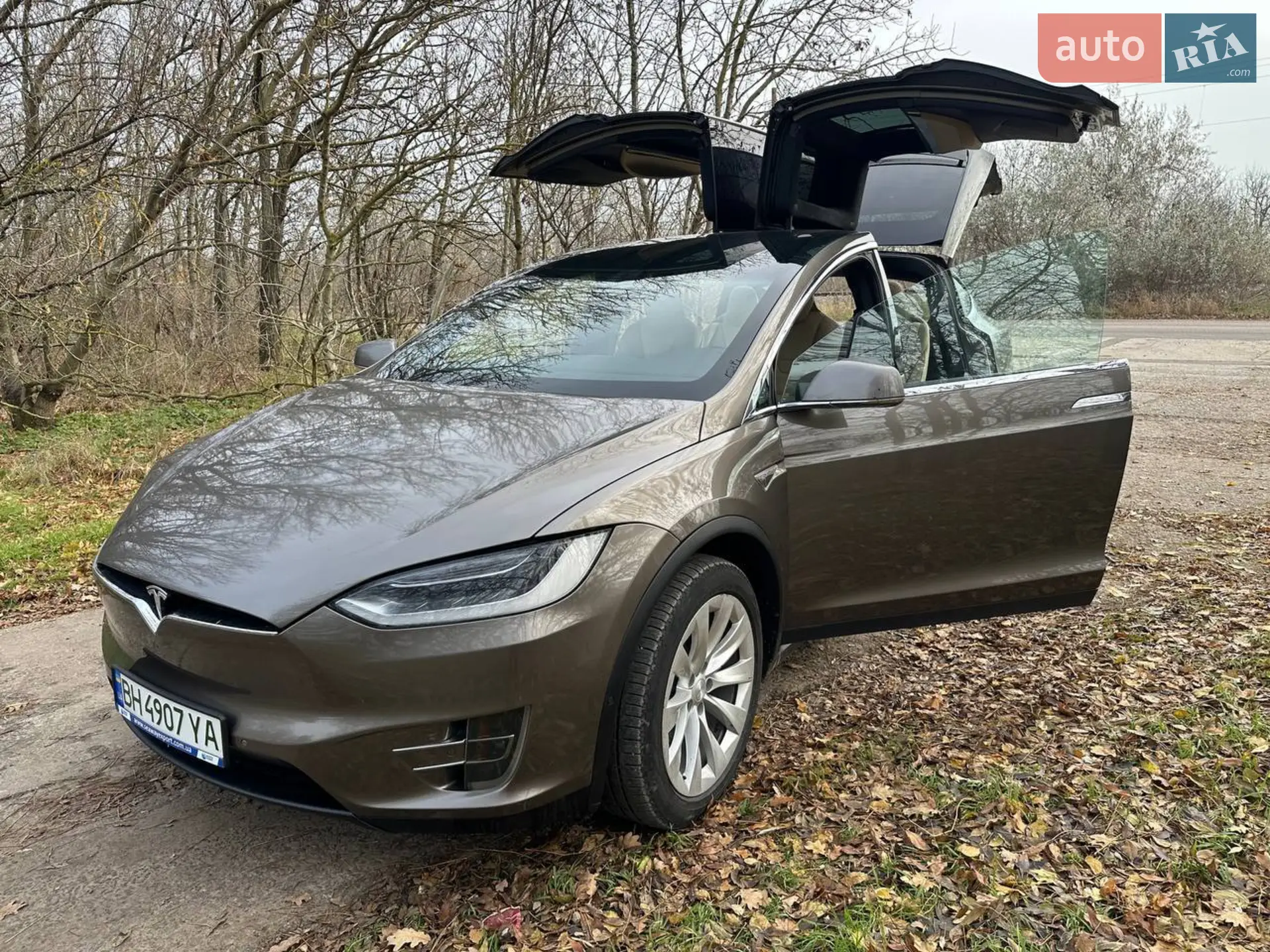 2016 Tesla Model X - мініатюра 6