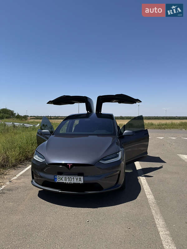 Внедорожник / Кроссовер Tesla Model X 2022 в Южном